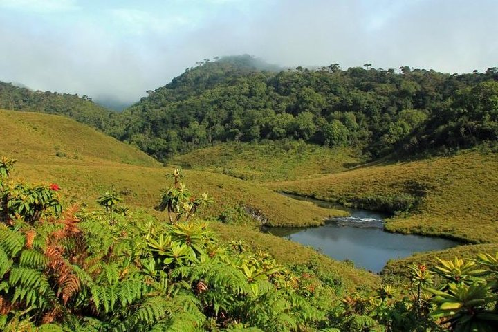 4 Days Tour with Hiking and Scenic Train Ride - Photo 1 of 17